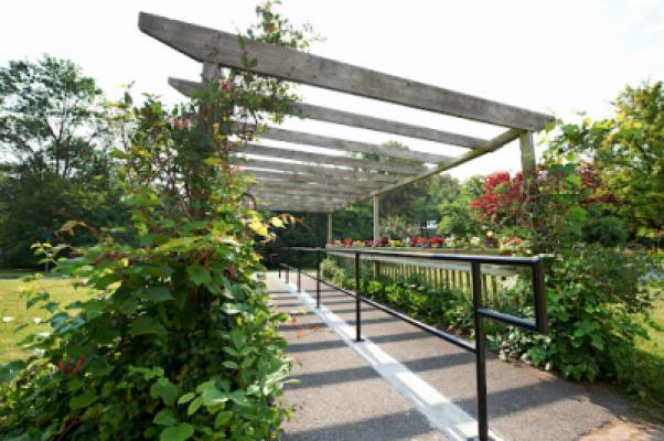 Display Image