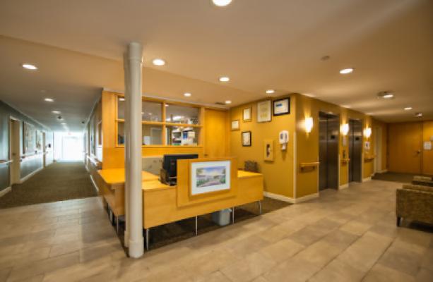 Display Image