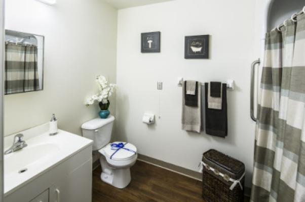 Display Image