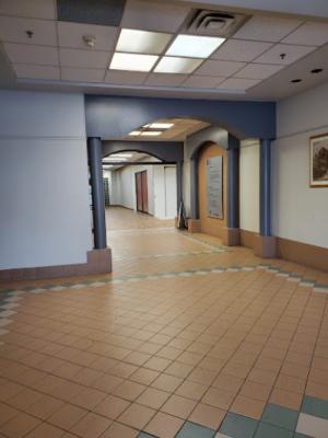 Display Image