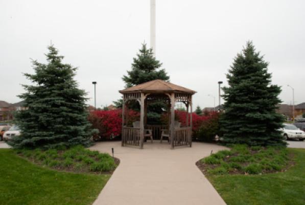 Display Image