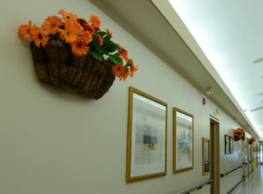 Display Image