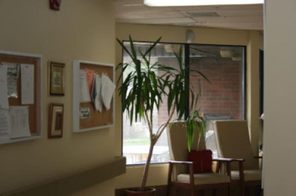 Display Image