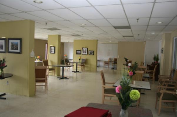 Display Image