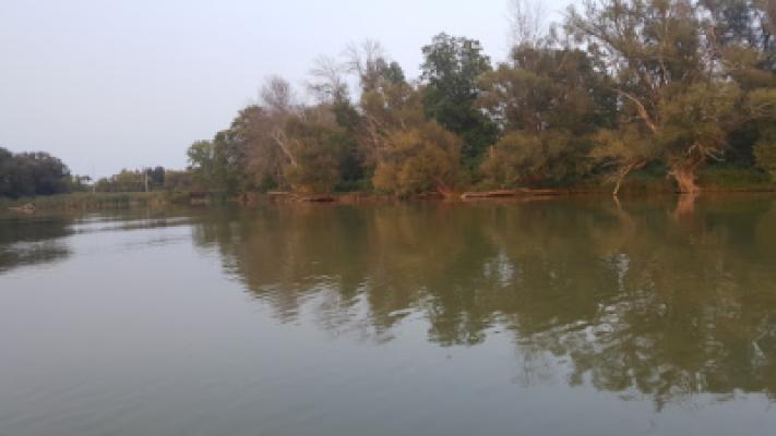 Display Image