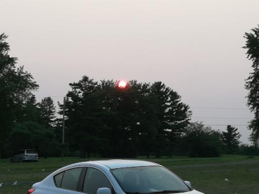 Display Image