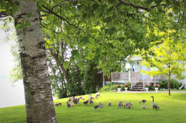 Birchmere Retirement Residence