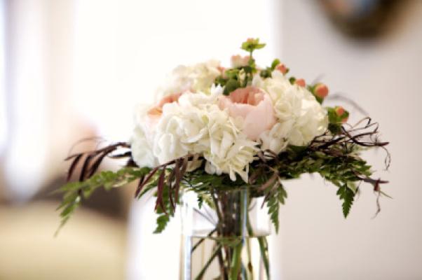 Display Image