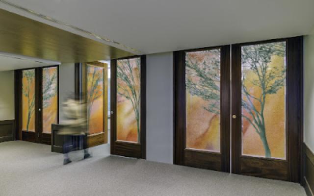 Display Image