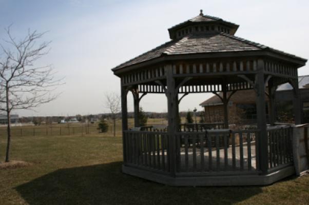 Display Image