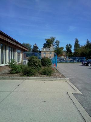 Display Image