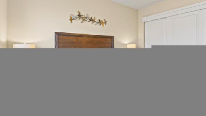 Display Image