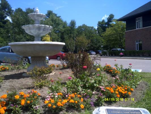 Display Image