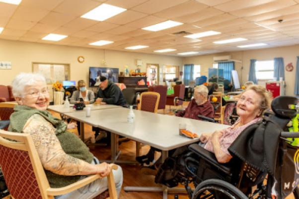 The Village Green Nursing Home