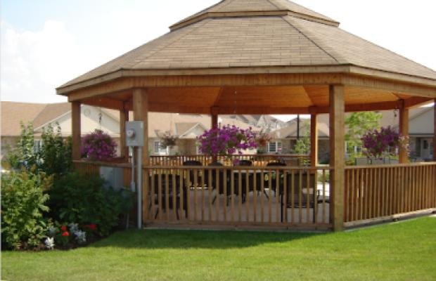Display Image